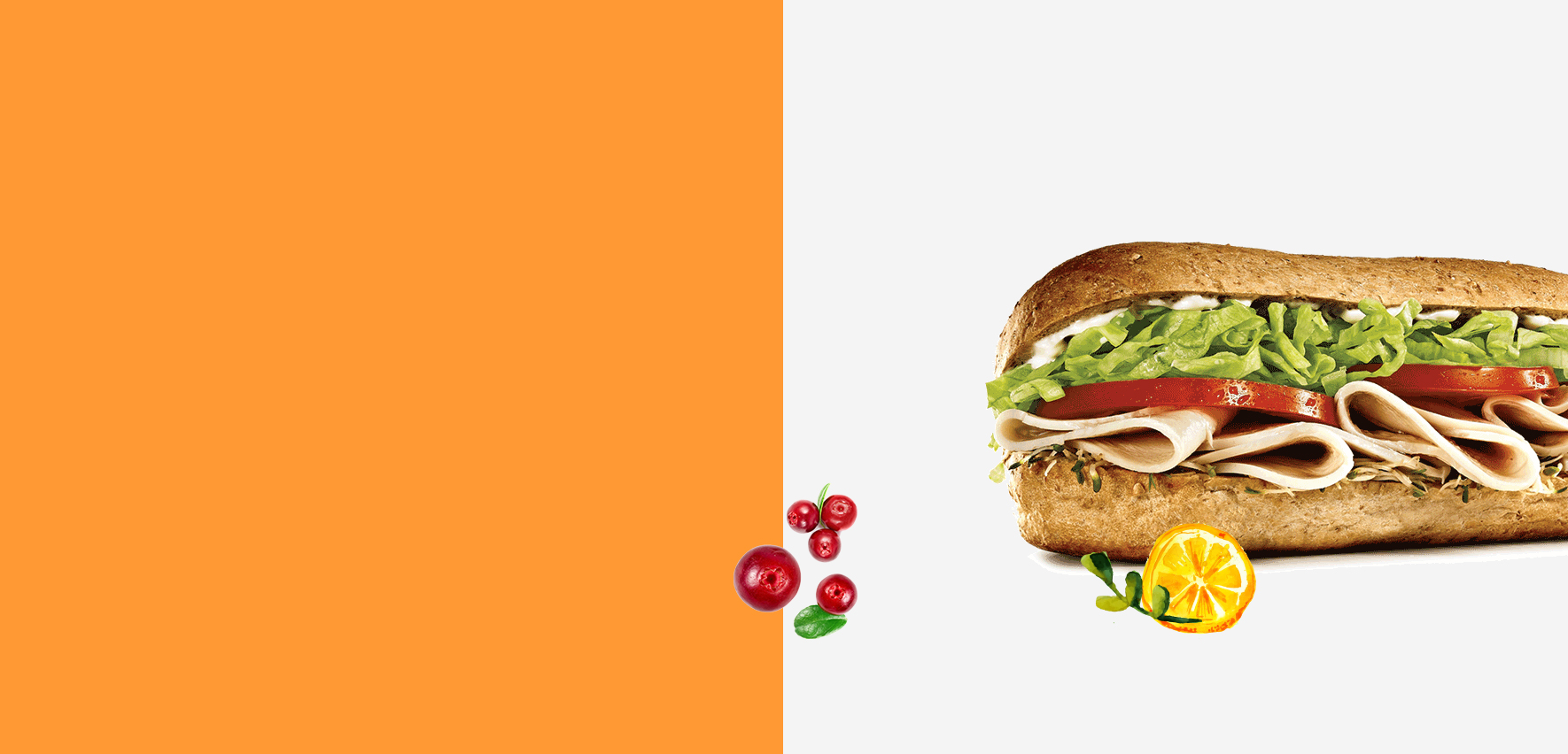 slider-image